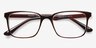 November Brown Clear PlasticEyeglass Frames from EyeBuyDirect, Closed View
