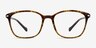 Nola Brown PlasticEyeglass Frames from EyeBuyDirect, Front View