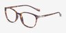 Nola Brown PlasticEyeglass Frames from EyeBuyDirect, Angle View
