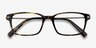 Dreamer Tortoise Acetate-metalEyeglass Frames from EyeBuyDirect, Closed View