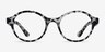 Little Plato Leopard PlasticEyeglass Frames from EyeBuyDirect, Front View