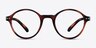 Little Mellow Tortoise PlasticEyeglass Frames from EyeBuyDirect, Front View