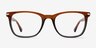 Rooibos Brown AcetateEyeglass Frames from EyeBuyDirect, Front View