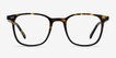 Sequence Amber Tortoise AcetateEyeglass Frames from EyeBuyDirect, Front View