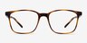 Soul Black Brown PlasticEyeglass Frames from EyeBuyDirect, Front View