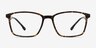 Northern Golden Tortoise PlasticEyeglass Frames from EyeBuyDirect, Front View