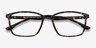 Northern Golden Tortoise PlasticEyeglass Frames from EyeBuyDirect, Closed View