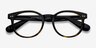 Achiever Brown Floral PlasticEyeglass Frames from EyeBuyDirect, Closed View