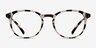 Brace Dark Brown PlasticEyeglass Frames from EyeBuyDirect, Front View