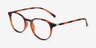 Brace Tortoise PlasticEyeglass Frames from EyeBuyDirect, Angle View