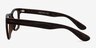 Project Brown Striped PlasticEyeglass Frames from EyeBuyDirect, Side View