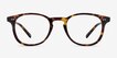 Symmetry Tortoise AcetateEyeglass Frames from EyeBuyDirect, Front View