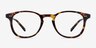 Symmetry Écailles AcétateMontures de lunettes de vue d'EyeBuyDirect, Vue de Face