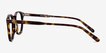 Symmetry Tortoise AcetateEyeglass Frames from EyeBuyDirect, Side View