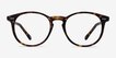 Prism Tortoise AcetateEyeglass Frames from EyeBuyDirect, Front View