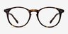 Prism Tortoise AcetateEyeglass Frames from EyeBuyDirect, Front View