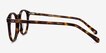 Prism Tortoise AcetateEyeglass Frames from EyeBuyDirect, Side View