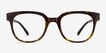 Flashback Honey Tortoise PlasticEyeglass Frames from EyeBuyDirect, Front View