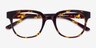 Flashback Honey Tortoise PlasticEyeglass Frames from EyeBuyDirect, Closed View
