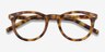 Andromeda Cinnamon Tortoise AcetateEyeglass Frames from EyeBuyDirect, Closed View