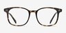 Lift Tortoise AcetateEyeglass Frames from EyeBuyDirect, Front View