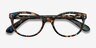 Valentina Brown Floral AcetateEyeglass Frames from EyeBuyDirect, Closed View