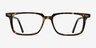 Wing Tortoise AcetateEyeglass Frames from EyeBuyDirect, Front View