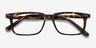 Wing Tortoise AcetateEyeglass Frames from EyeBuyDirect, Closed View