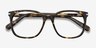 Absolutely Écailles AcétateMontures de lunettes de vue d'EyeBuyDirect, Vue Rapprochée