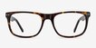 Koi Tortoise AcetateEyeglass Frames from EyeBuyDirect, Front View