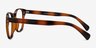 Heartbeat Brown PlasticEyeglass Frames from EyeBuyDirect, Side View