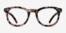 Solar Floral PlasticEyeglass Frames from EyeBuyDirect, Front View