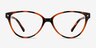 Dame Tortoise PlasticEyeglass Frames from EyeBuyDirect, Front View
