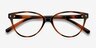 Dame Tortoise PlasticEyeglass Frames from EyeBuyDirect, Closed View