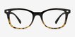 Drama Black Brown PlasticEyeglass Frames from EyeBuyDirect, Front View