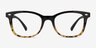 Drama Black Brown PlasticEyeglass Frames from EyeBuyDirect, Front View