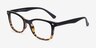 Drama Black Brown PlasticEyeglass Frames from EyeBuyDirect, Angle View