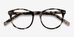 Primrose Ivory Tortoise AcetateEyeglass Frames from EyeBuyDirect, Closed View