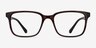November Brown PlasticEyeglass Frames from EyeBuyDirect, Front View