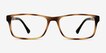 Firefly Tortoise PlasticEyeglass Frames from EyeBuyDirect, Front View