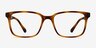 November Tortoise PlasticEyeglass Frames from EyeBuyDirect, Front View