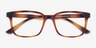 November Tortoise PlasticEyeglass Frames from EyeBuyDirect, Closed View