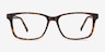 Prologue Tortoise AcetateEyeglass Frames from EyeBuyDirect, Front View