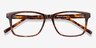 Prologue Tortoise AcetateEyeglass Frames from EyeBuyDirect, Closed View