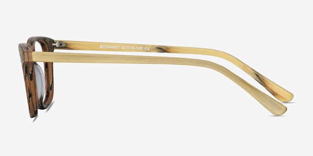 Botanist Brown AcetateEyeglass Frames from EyeBuyDirect, Side View