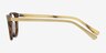 Botanist Brown AcetateEyeglass Frames from EyeBuyDirect, Side View