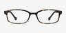 Gizmo Tortoise PlasticEyeglass Frames from EyeBuyDirect, Front View