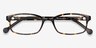 Gizmo Tortoise PlasticEyeglass Frames from EyeBuyDirect, Closed View