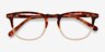 Illusion Tortoise Clear AcetateEyeglass Frames from EyeBuyDirect, Closed View
