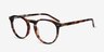Planete Fleuries AcétateMontures de lunettes de vue d'EyeBuyDirect, Vue d'Angle